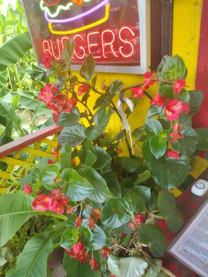 Jerry's Gourmet Burgers by null