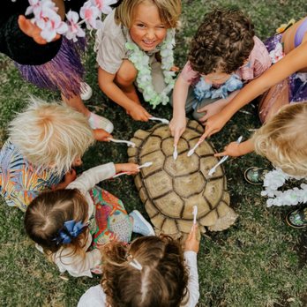 Kids Reptile Parties - Party & Event Planning Near Me Kids Reptile Parties - Party & Event Planning Near Me