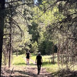 Switch Back Trail