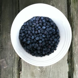 Blueberries of Indiana - Great people, great berries.