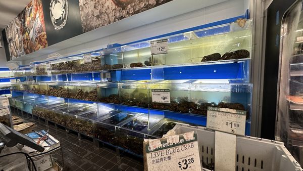 99 Ranch Market by null