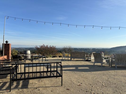 Terra Vina Wines Vineyard by null