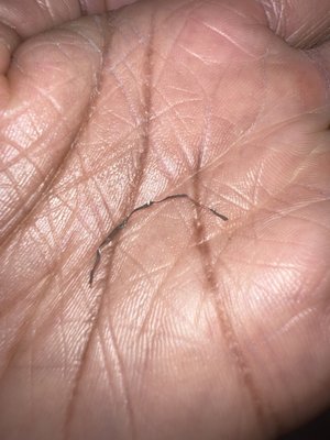 Bartolini's Restaurant by null