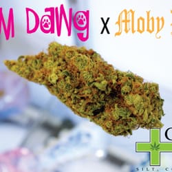 Green Cross Recreational Marijuana Dispensary