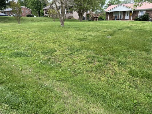 Yard cutting today - This yard is a good project to do Yard cutting today - This yard is a good project to do