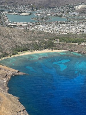 Blue Hawaiian Helicopters by null