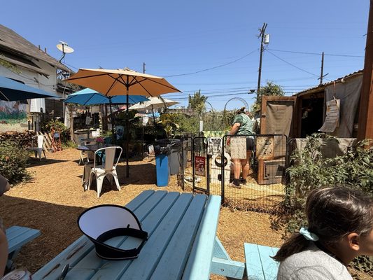 Fiorelli Pizza by null