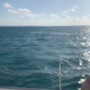 Go Visit Cancun - Our beautiful view - Tours Near Me - Cancún, ROO Go Visit Cancun - Our beautiful view - Tours Near Me - Cancún, ROO