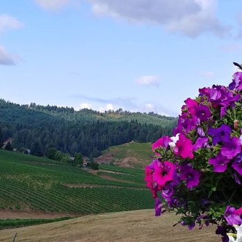 Sweet Cheeks Winery - Wineries Near Me - Eugene, Oregon Sweet Cheeks Winery - Wineries Near Me - Eugene, Oregon