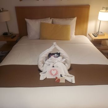 Vive Hotel Waikiki - sweet arrangement and note - Hotels Near Me - Honolulu, Hawaii Vive Hotel Waikiki - sweet arrangement and note - Hotels Near Me - Honolulu, Hawaii