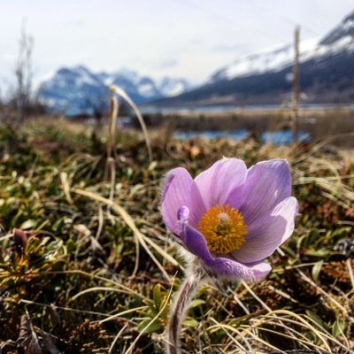 Glacier Guides and Montana Raft by null