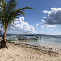 Lion Fish - Beach view