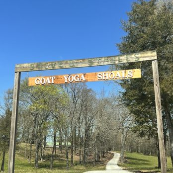 Goat Yoga Shoals - Yoga Near Me - Tuscumbia, Alabama
