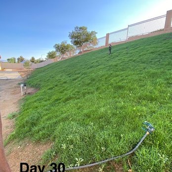 Dixon Hydroseeding - day 30 - Lawn Services Near Me - Hesperia, California Dixon Hydroseeding - day 30 - Lawn Services Near Me - Hesperia, California