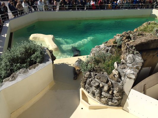 Biarritz Aquarium by null