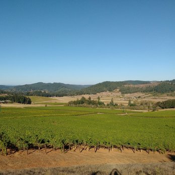 King Estate Winery - Views - Wineries Near Me - Eugene, Oregon King Estate Winery - Views - Wineries Near Me - Eugene, Oregon