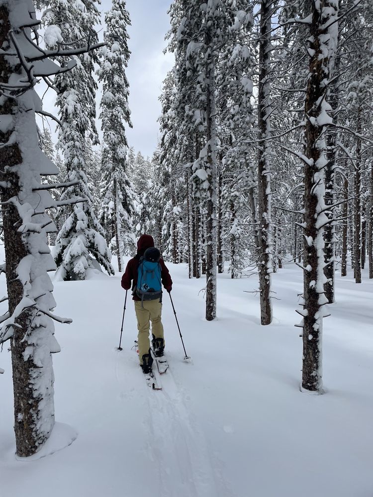 Dihedral — Mission Valley