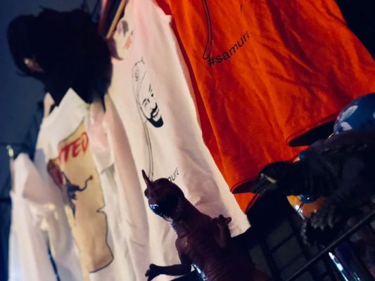 Shōjō’s Dojo by null Shōjō’s Dojo by null