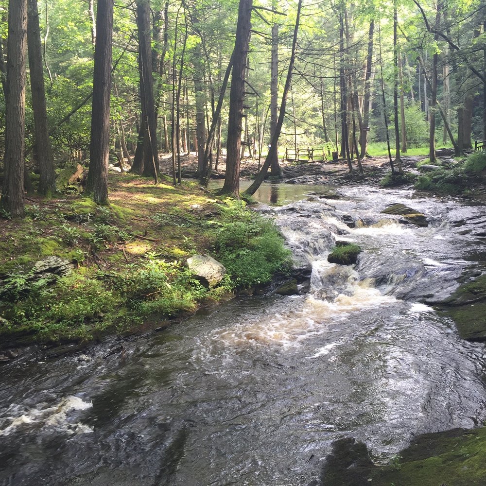 Bushkill Falls - Beautiful scenery! - Tours Near Me - Bushkill, Pennsylvania