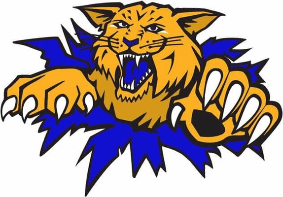 Wildcat Heating, Cooling, and Plumbing Logo