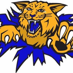 Wildcat Heating, Cooling, and Plumbing