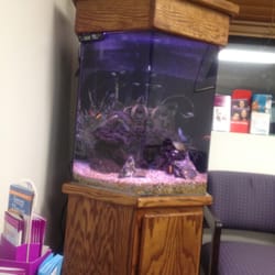 Firoz Sheikh, MD - Nice aquarium to cool u down. Watch the colorful fish and forget about sickness for a while