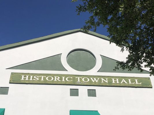 Historic Town Hall of Homestead by null