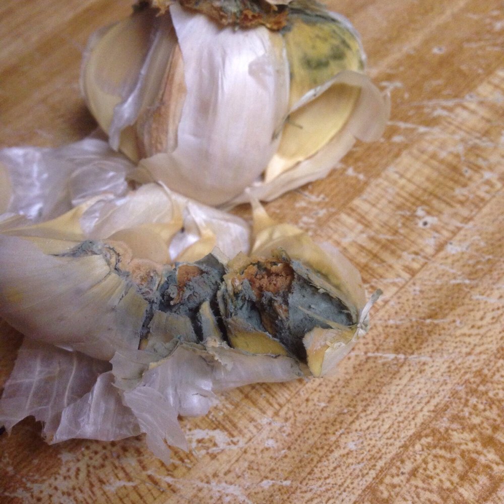 Food 4 Less - Garlic bought this morning - Grocery Near Me - Manteca, California Food 4 Less - Garlic bought this morning - Grocery Near Me - Manteca, California