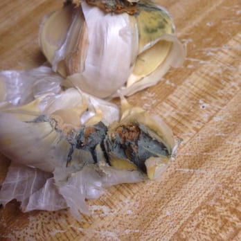 Food 4 Less - Garlic bought this morning - Grocery Near Me - Manteca, California Food 4 Less - Garlic bought this morning - Grocery Near Me - Manteca, California