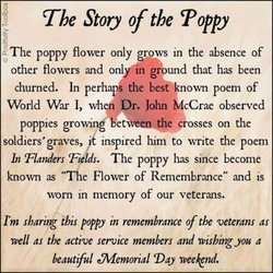 American Legion Post No 24 - Story of the Poppy