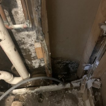 Progress Residential - Mold! - Property Management Near Me - Alpharetta, Georgia Progress Residential - Mold! - Property Management Near Me - Alpharetta, Georgia