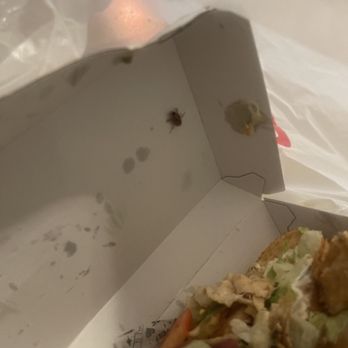 Charleys Cheesesteaks - CHICKEN PHILLY with a BUG!!! - Fast Food Near Me - Germantown, Maryland