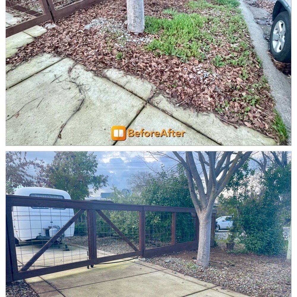 Harry's Landscaping and Maintenance - Yard work, before & after. - Landscaping Near Me - Sacramento, California