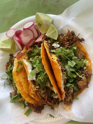 Taqueria Tierra Caliente