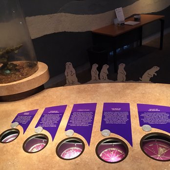 Western Science Center - Museums Near Me - Hemet, California