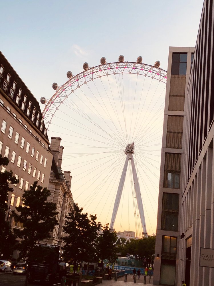 FAMILY TRAVEL CONCIERGE Updated July 2024 53 Photos & 12 Reviews