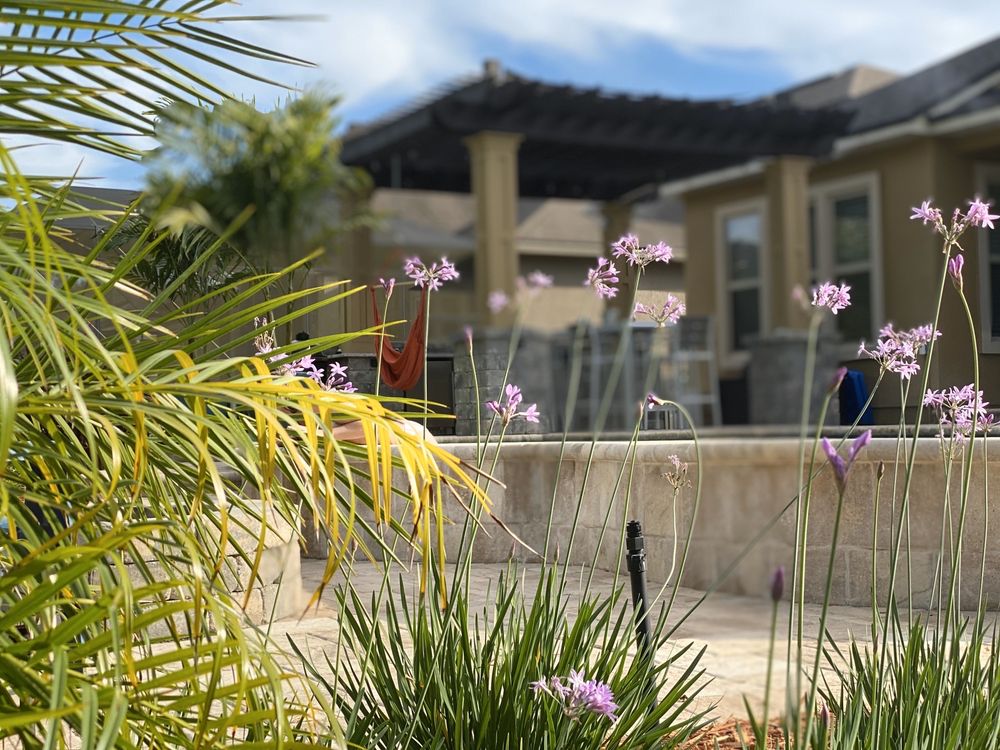 STANLEY POOLS Updated May 2024 14 Photos 8647 Old Orange Park Rd