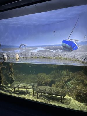 La Rochelle Aquarium by null