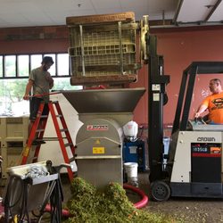 Santa Maria Vineyard & Winery - Grape Harvest 2017