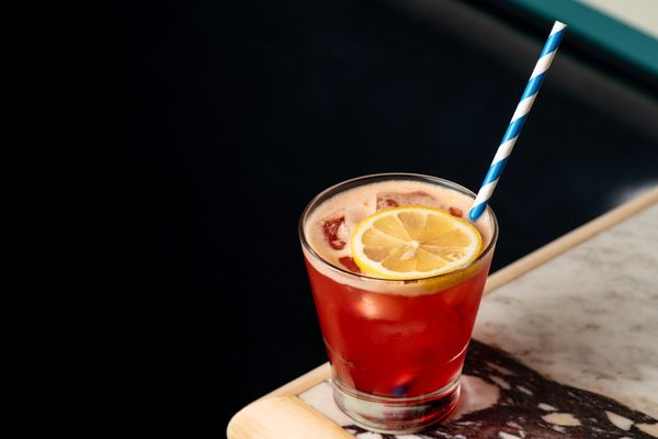 The Little Friend by null