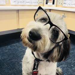 America's Best Contacts & Eyeglasses