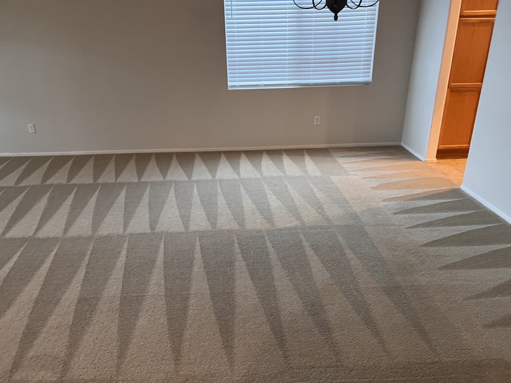 PROTOUCH CARPET CARE Updated September 2024 30 Photos Lancaster