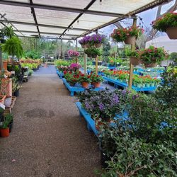 Towns' Garden Center