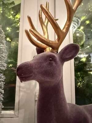 Didi's Frieden by null