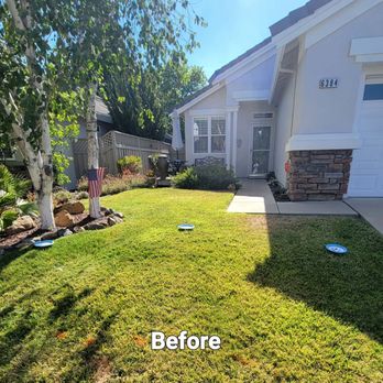Flores landscape - Before Frontyard - Landscaping Near Me Flores landscape - Before Frontyard - Landscaping Near Me