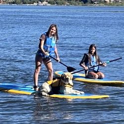 Getboards - Paddle boards, kids life vest, dog life vest