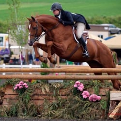 Creekside Show Stable - Aim for the top! International hunter derbies are a great way to test the relationionship, trust and skills of horse and rider.