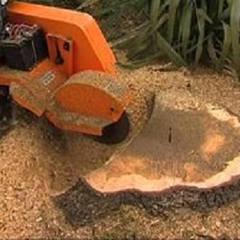 Js Tree & Stump - stump grinding - Tree Services Near Me - Waterford, Pennsylvania Js Tree & Stump - stump grinding - Tree Services Near Me - Waterford, Pennsylvania