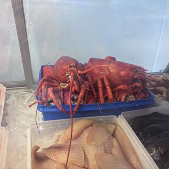 SS Lobster Ltd - Lobster were HUGE!! - Seafood Near Me - Fitchburg, Massachusetts SS Lobster Ltd - Lobster were HUGE!! - Seafood Near Me - Fitchburg, Massachusetts
