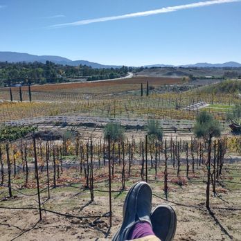Grapeline Wine Tours - Wine Tours Near Me - Temecula, California Grapeline Wine Tours - Wine Tours Near Me - Temecula, California